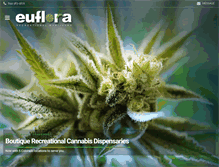 Tablet Screenshot of eufloracolorado.com